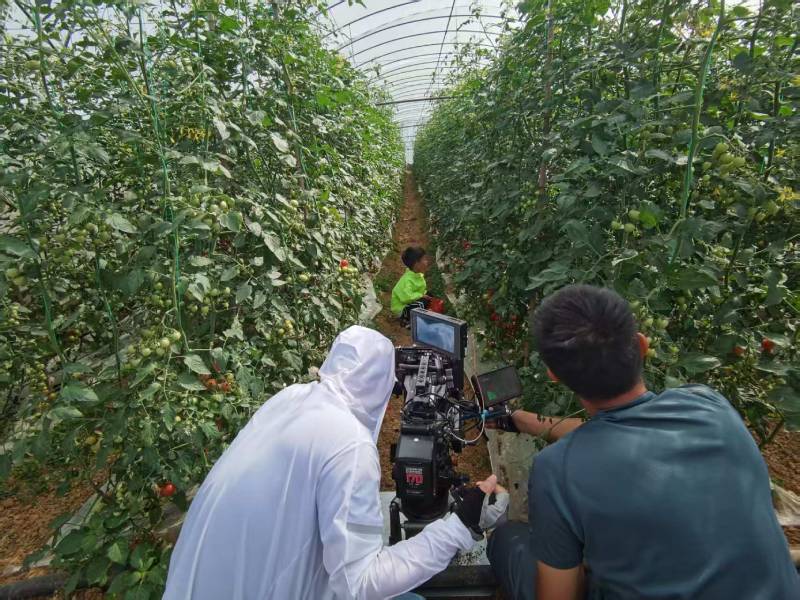 根河市产品宣传视频拍摄公司进阶指南，助力品牌抢占传播高地